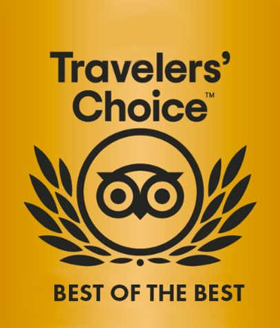 Travelers' Choice Best of the Best award emblem with owl icon on gold background.